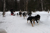 c-Shell_To_Rohn_19Mar2011_Winterlake_Lodge_ 019 [800x600].JPG