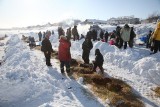 Iditarod_40_Unalakleet_CheckPoint_11Mar2012_ 007 [800x533].JPG