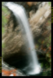 foster-falls012.jpg