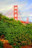 San Francisco Bay Scenes25 pc.jpg