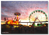 California State Fair 2011