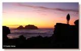 Sutro Baths