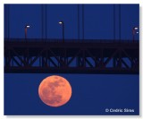 Super Moon beneath the Golden Gate Bridge