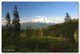 Mt Shasta 2012