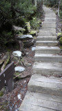 Cradle Mountain, Tasmania