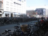 Copenhagen--apparently its the bicycle capital of the world!