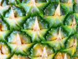 Pineapple macro