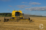 Gathering the Harvest