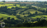 Fields near Butterleigh