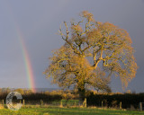 Rainbow at Willand