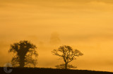 From the Beacon at sunrise