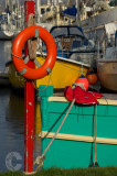 Colours on the Exe canal