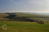 Near Mt Caburn - South Downs - Sussex