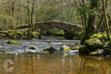 Packhorse Bridge in Hisley Wood