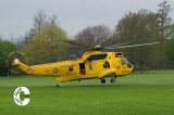 Sea King 4 of 4