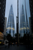 Reflected Shard