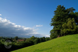 Devon view