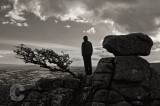 Lone Tree, lone figure, lone Tor