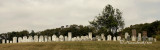 Mennonite Cemetery Waterloo County, Ontario  JL11 #4880