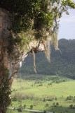Cueva Ventana. Arecibo