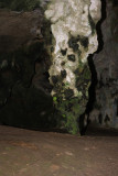 Cueva Ventana. Arecibo