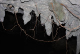 Cueva Ventana. Arecibo