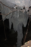 Cueva Ventana. Arecibo
