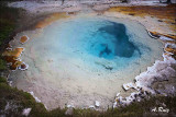 Yellowstone