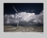 Neeltje-Jans  windturbine