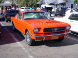 Mustang