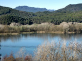 Vista des del Puig de Sant Martiri