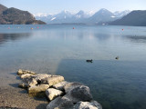 Wolfgangsee