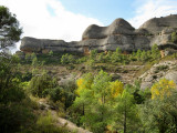 Ulldemolins. Cami a lErmita de Sant Bartomeu