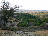 Vista des de Albarca