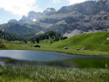 Kandersteg. Arvenseeli