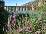 Puente Quintos Sobre el Rio Esla