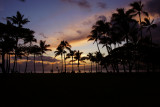 Waikiki Sunset Silhouettes