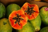 Papaya