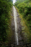 Manoa Falls