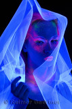 272 Black Light Veil 2.jpg