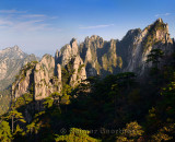 Pine trees at The Eighteen Arhats Worshipping at South Sea and Camel Back Peak at Yellow Mountain Huangshan China