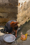 Woman washing a chicken in the Jiyin waterway in the streets of Hongcun village China