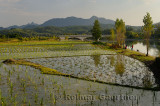 Flooded rice paddies and painters along the Jiyin stream at Hongcun in Anhui Province China