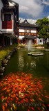 Restaurants surrounding entrance lake pond with koi and fountain at Yuyuan Gardens Shanghai China