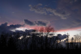 March 11, 2010<br><font size=2>Watercolor Shrug</font>