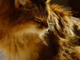 June 20, 2007<br><font size=2>My Sunshine</font>