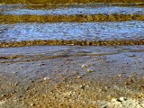 Lake Waves ~ September 15th