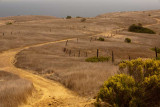 Santa Cruz Island