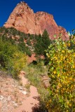 Zion - Kolob Canyon