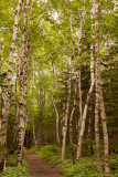 Acadia National Park